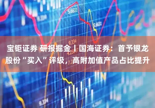 宝钜证券 研报掘金丨国海证券：首予银龙股份“买入”评级，高附加值产品占比提升