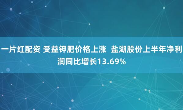 一片红配资 受益钾肥价格上涨  盐湖股份上半年净利润同比增长13.69%