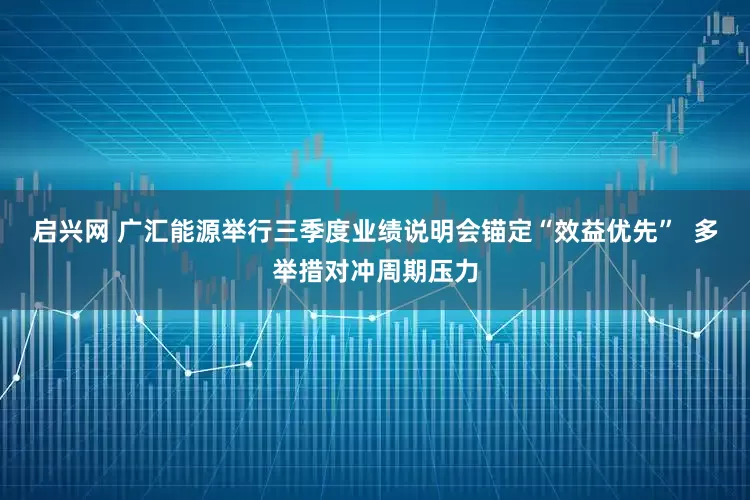 启兴网 广汇能源举行三季度业绩说明会锚定“效益优先”  多举措对冲周期压力