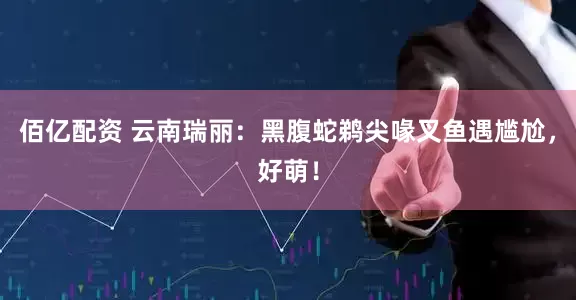 佰亿配资 云南瑞丽：黑腹蛇鹈尖喙叉鱼遇尴尬，好萌！