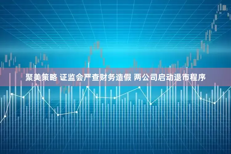 聚美策略 证监会严查财务造假 两公司启动退市程序